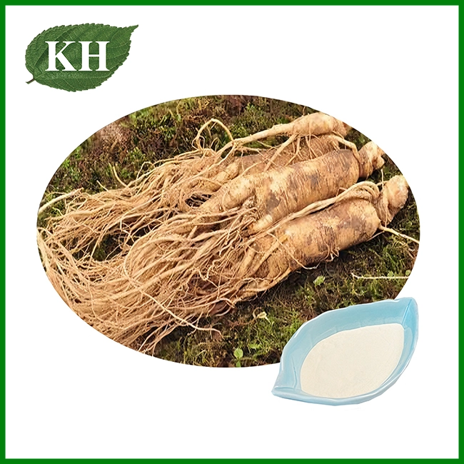 Ginseng Extract Powder Ginseng Extract Powder
